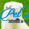 Best Siberian Husky Puppy for Sale in Delhi Ncr - Dav Pet Lovers