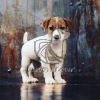 Jack Russell Terrier Puppy Sale In Delhi Ncr - Dav Pet Lovers