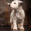 Jack Russell Terrier Sale - Dav Pet Lovers
