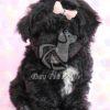 Cute Black Poodle Puppy on Sale - Dav Pet Lovers