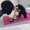 Black Poodle Puppy -Dav Pet Lovers